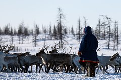 Блогер описал брачные традиции на Севере России фразой «кто бы мог такое представить!»