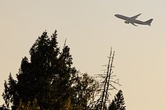 Минтранс заявил о возможности размещения детей рядом с родителями в самолетах