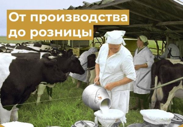 Субсидирование товарной продукции фермерских хозяйств - молочный опыт Коми